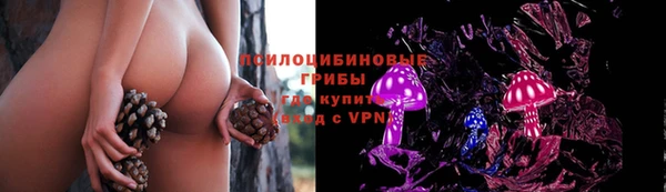 скорость Алзамай