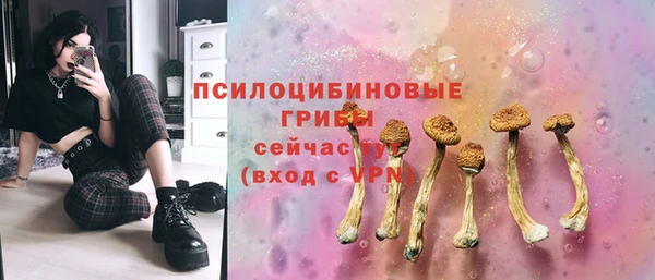 скорость Алзамай